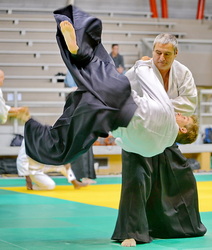  Aïkido Alain Peyrache soke EPA ISTA 