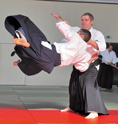  Aïkido Alain Peyrache soke EPA ISTA 