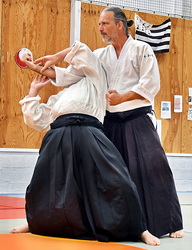  Aïkido traditionnel Montpellier Stéphane Villepontoux professeur du dojo de La Rauze