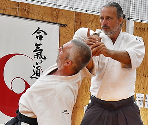  Aïkido traditionnel Montpellier Stéphane Villepontoux professeur du dojo de La Rauze