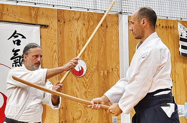  Aïkido traditionnel Montpellier Stéphane Villepontoux professeur du dojo de La Rauze