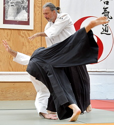  Aïkido traditionnel Montpellier Stéphane Villepontoux professeur du dojo de La Rauze