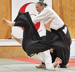  Aïkido traditionnel Montpellier Stéphane Villepontoux professeur du dojo de La Rauze