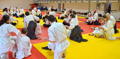  Aïkido 34  Doin shiatsu seifukus