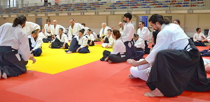  Aïkido 34  Doin shiatsu seifukus