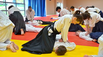  Aïkido 34  Doin shiatsu seifukus