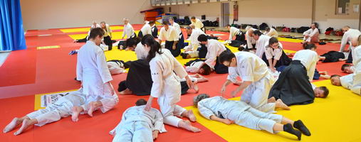  Aïkido 34  Doin shiatsu seifukus
