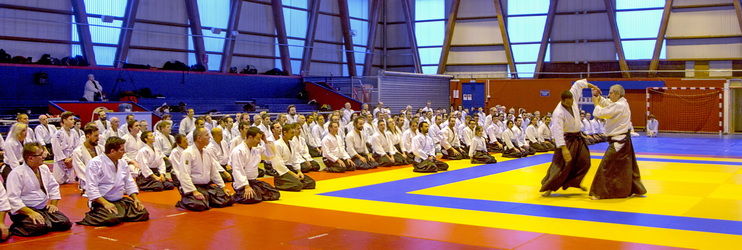 aïkido stages Lyon Tassin 69