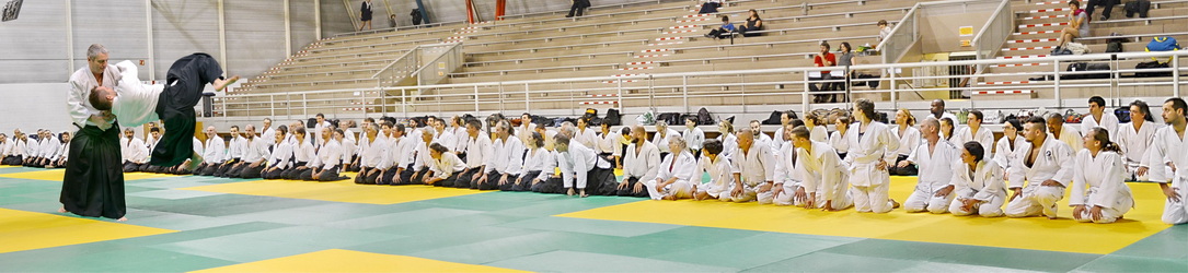  Stages aïkido de Toulouse 31 avec Alain Peyrache sensei 
